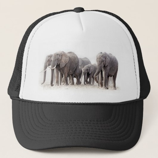 Casquette Herbe d'éléphants (Devant)