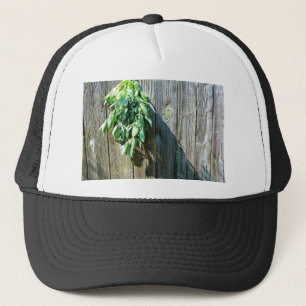 Casquette Herbes vertes botaniques à grains de bois affaissé