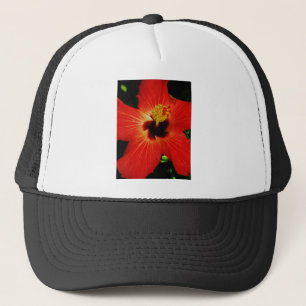 Casquette Hibiscus rouge