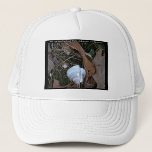 Casquette Hot Springs National Park, AR - Cadeaux d'ornement