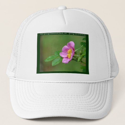 Casquette Hot Springs National Park, AR Wild Rose Don (Devant)