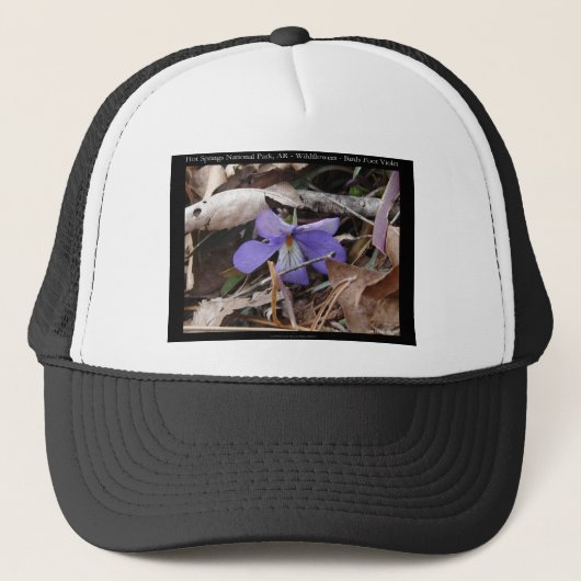 Casquette Hot Springs National Park, AR Wild Violets Cadeaux (Devant)