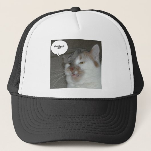 Casquette Humour du Bachelor Party (Devant)