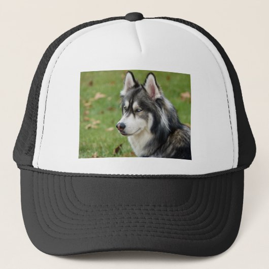 Casquette Husky (Devant)