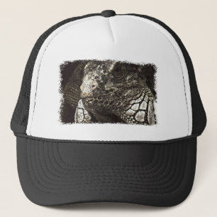 Casquette Iguana