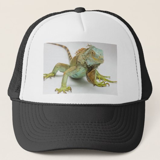 Casquette Iguane (Devant)