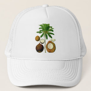 Casquette Illustration botanique d'arbre de noix de coco