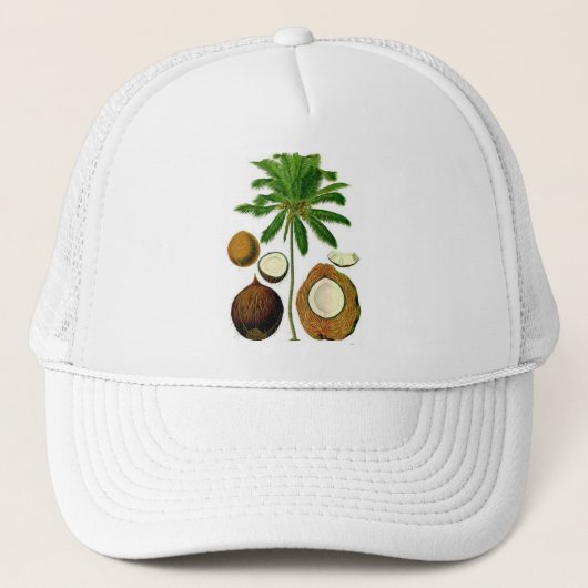 Casquette Illustration botanique d'arbre de noix de coco (Devant)