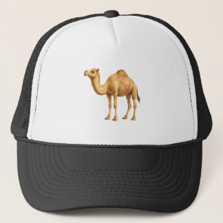 Casquette Illustration de chameau à l'aquarelle – Conception