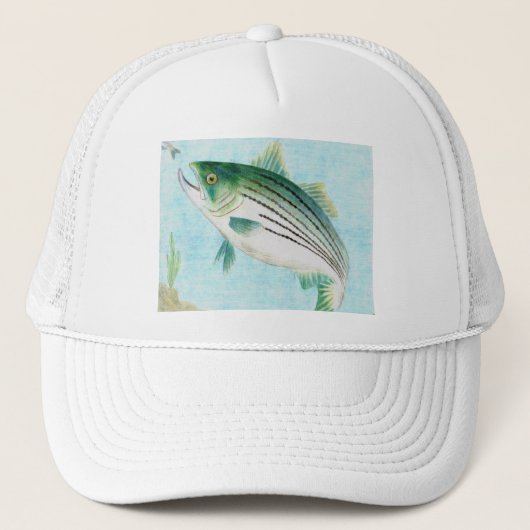 Casquette Illustration de gain par E. Vance, catégorie 8 (Devant)