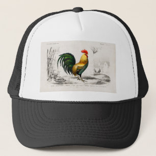 Casquette Illustration de la coop de poulet du coq 1800
