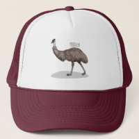 Illustration d'Emu bird