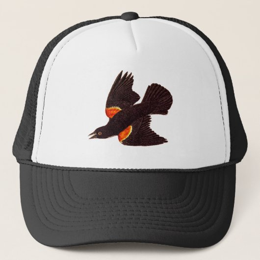 Casquette Illustration noire à ailes rouges d'oiseau de (Devant)