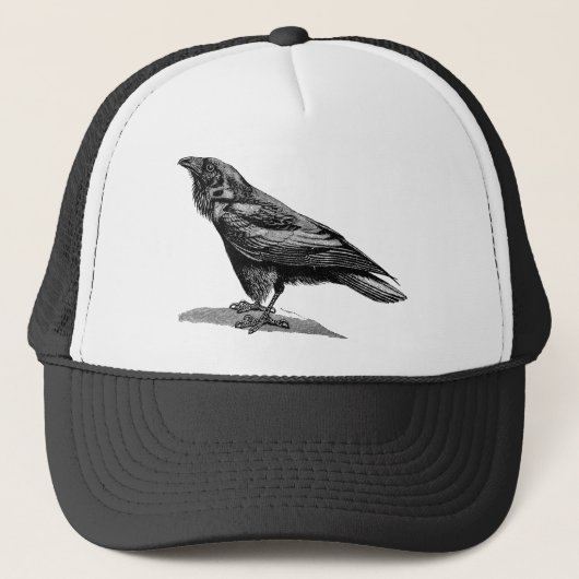 Casquette Illustration vintage d'oiseau de merle de (Devant)