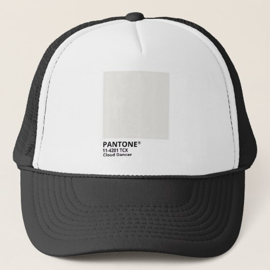 Casquette Inpiration pantone 2026 (Devant)