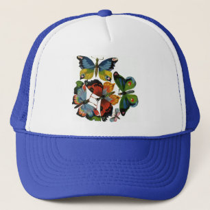 Casquette Insectes vintages ou des insectes, Belles papillon