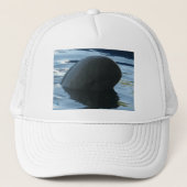 Casquette Irrawaddy Dolphin Peek-A-Boo (Devant)