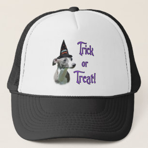 Casquette Italien Greyhound Trick