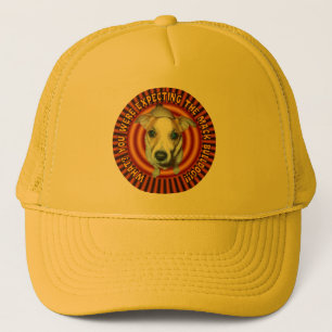 Casquette Jack Russell Terrier.Hat.