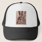 Casquette Jackrabbit (Devant)