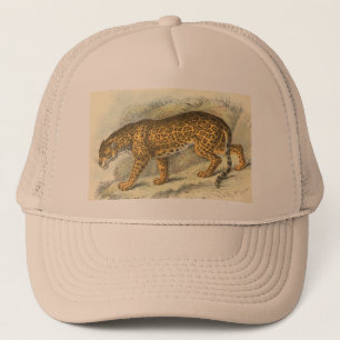 Casquette Jaguar, onca de Felis
