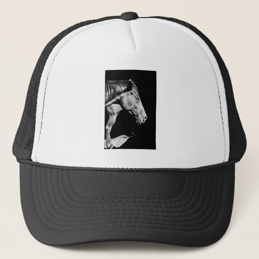 Casquette jambe de cheval de tête (Devant)