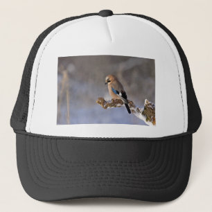 Casquette Jay Bird en hiver