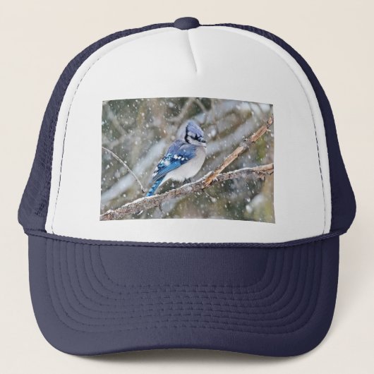 Casquette Jay bleu dans une tempête de neige (Devant)