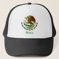 Joint national mexicain de Perez