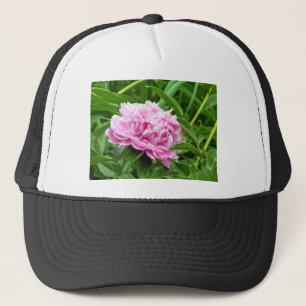 Casquette Joli Peony Rose