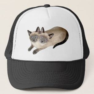 Casquette Jumeaux de chat siamois