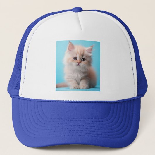 Casquette Kitten adorable avec Arrière - plan bleu (Devant)