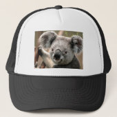 Casquette Koala (Devant)