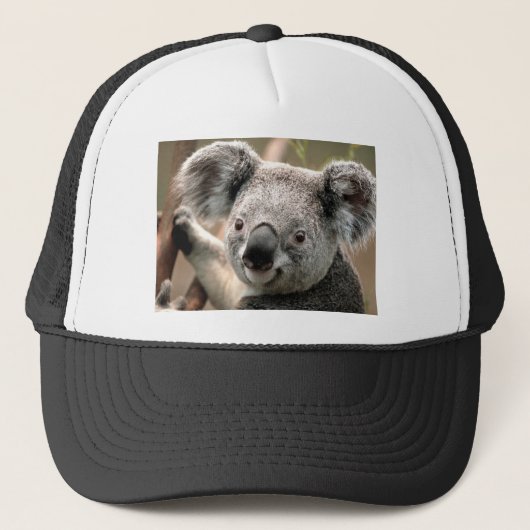 Casquette Koala (Devant)