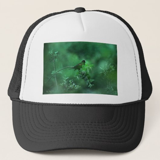 Casquette La Chanson (Devant)