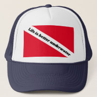 La vie est meilleure plongée sous-marine drapeau