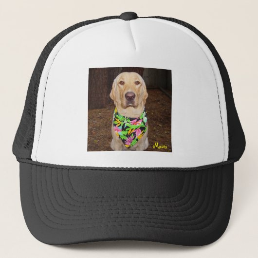 Casquette Laboratoire hawaïen (Devant)