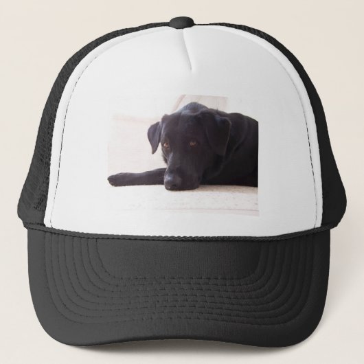 Casquette labrador retriever (Devant)