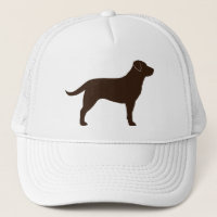 Labrador Retriever (chocolat)