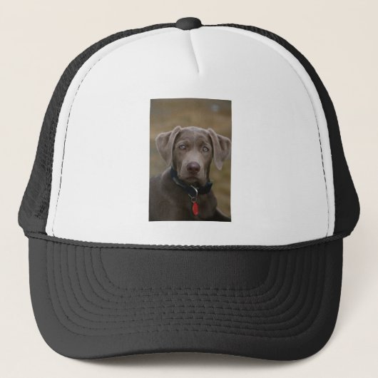 Casquette Labrador retriever en argent léger rare (Devant)