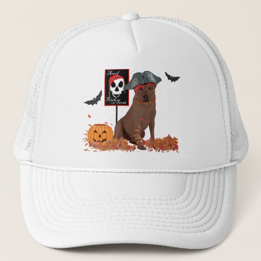 Casquette Labrador Retriever Marron Pirate (Devant)