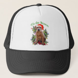 Casquette Labrador Retriever " Tis