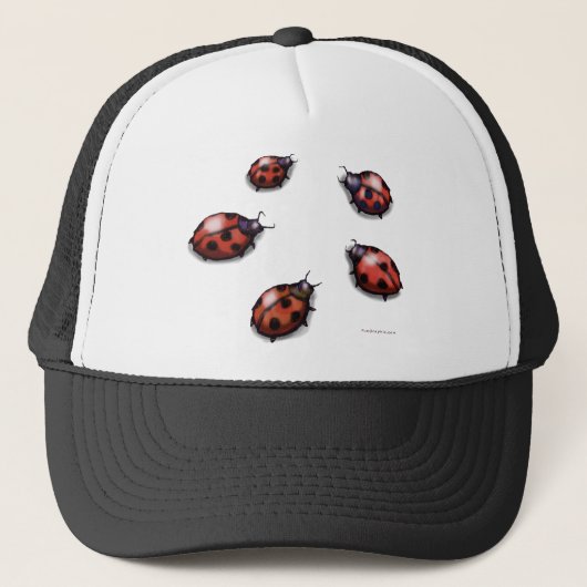 Casquette Ladybugs (Devant)