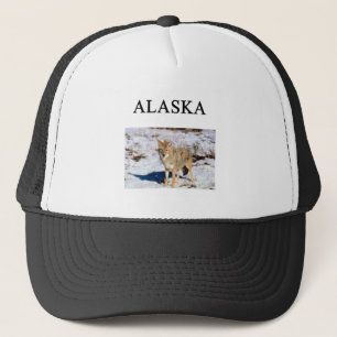 Casquette l'Alaska