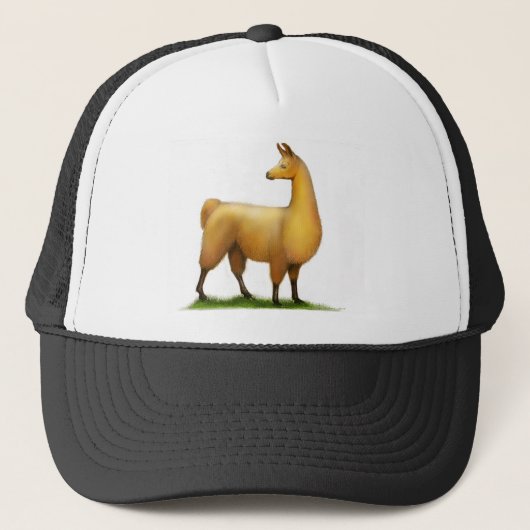 Casquette Lama péruvien (Devant)