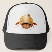 Casquette Langue de poisson-chat (Devant)