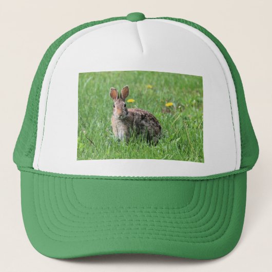 Casquette Lapin (Devant)
