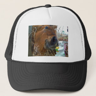 Casquette Lapin de Pâques et cheval Brown