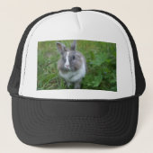 Casquette Lapin lapin (Devant)