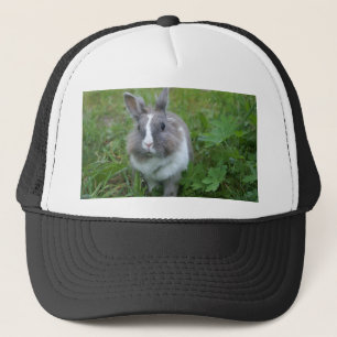 Casquette Lapin lapin